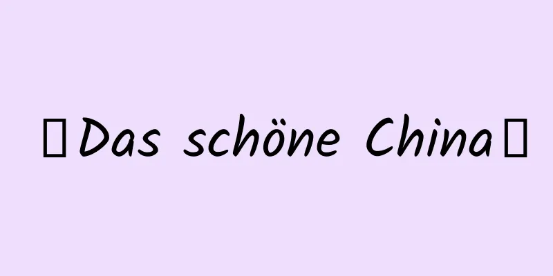 《Das schöne China》