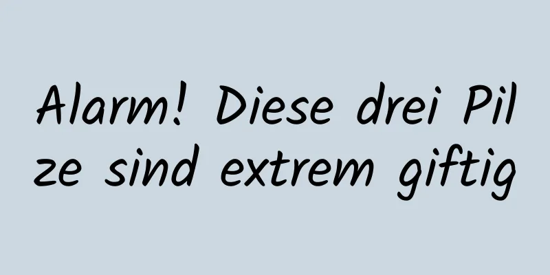 Alarm! Diese drei Pilze sind extrem giftig