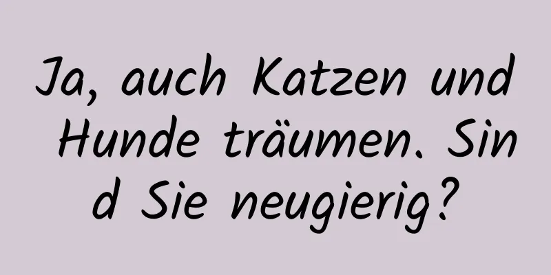 Ja, auch Katzen und Hunde träumen. Sind Sie neugierig?