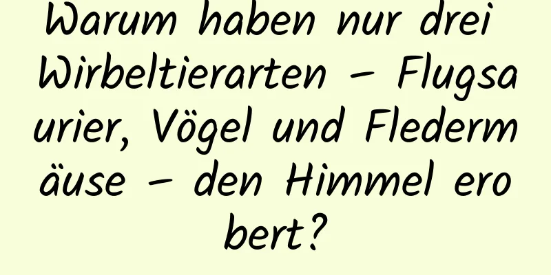 Warum haben nur drei Wirbeltierarten – Flugsaurier, Vögel und Fledermäuse – den Himmel erobert?
