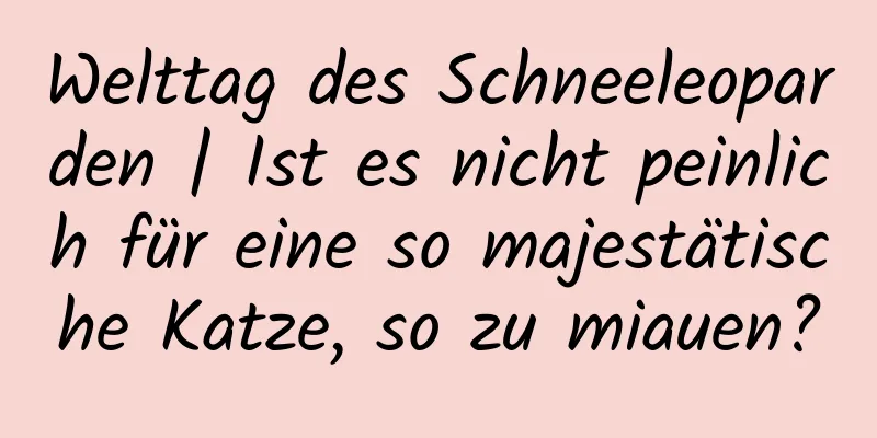 Welttag des Schneeleoparden | Ist es nicht peinlich für eine so majestätische Katze, so zu miauen?