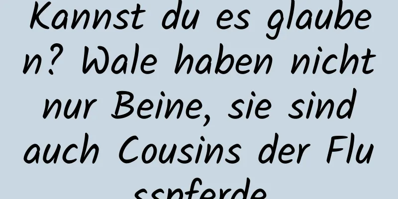 Kannst du es glauben? Wale haben nicht nur Beine, sie sind auch Cousins ​​der Flusspferde