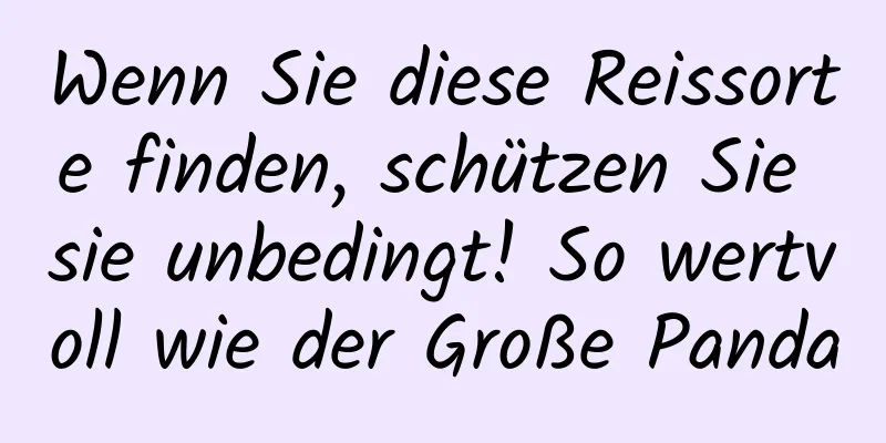 Wenn Sie diese Reissorte finden, schützen Sie sie unbedingt! So wertvoll wie der Große Panda