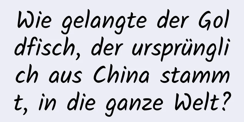 Wie gelangte der Goldfisch, der ursprünglich aus China stammt, in die ganze Welt?