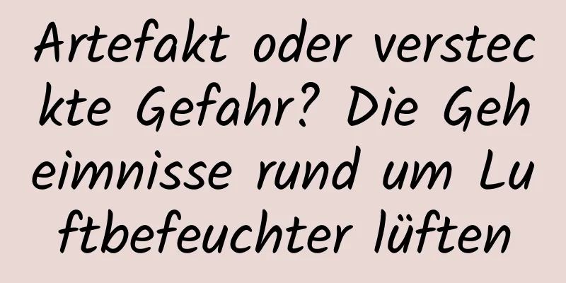 Artefakt oder versteckte Gefahr? Die Geheimnisse rund um Luftbefeuchter lüften