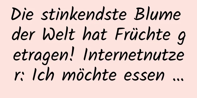 Die stinkendste Blume der Welt hat Früchte getragen! Internetnutzer: Ich möchte essen …