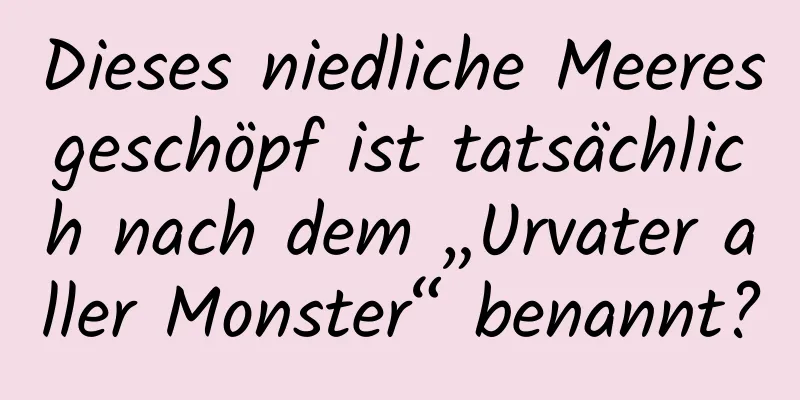Dieses niedliche Meeresgeschöpf ist tatsächlich nach dem „Urvater aller Monster“ benannt?