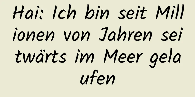 Hai: Ich bin seit Millionen von Jahren seitwärts im Meer gelaufen