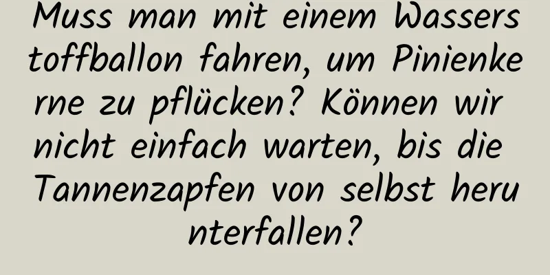 Muss man mit einem Wasserstoffballon fahren, um Pinienkerne zu pflücken? Können wir nicht einfach warten, bis die Tannenzapfen von selbst herunterfallen?