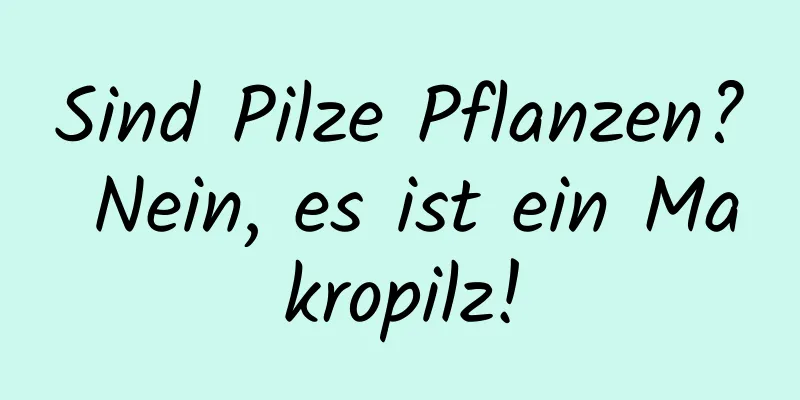 Sind Pilze Pflanzen? Nein, es ist ein Makropilz!