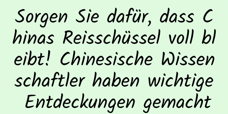 Sorgen Sie dafür, dass Chinas Reisschüssel voll bleibt! Chinesische Wissenschaftler haben wichtige Entdeckungen gemacht