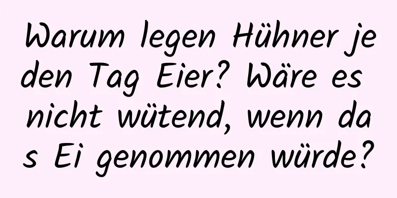 Warum legen Hühner jeden Tag Eier? Wäre es nicht wütend, wenn das Ei genommen würde?