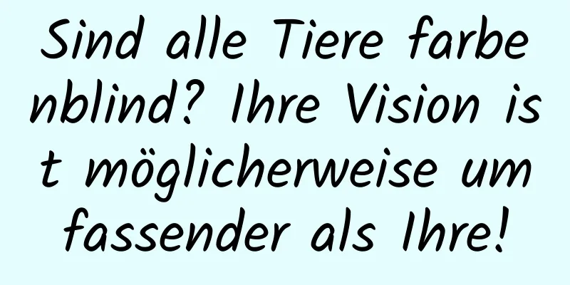Sind alle Tiere farbenblind? Ihre Vision ist möglicherweise umfassender als Ihre!