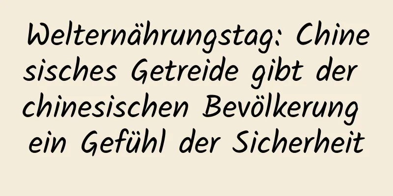 Welternährungstag: Chinesisches Getreide gibt der chinesischen Bevölkerung ein Gefühl der Sicherheit