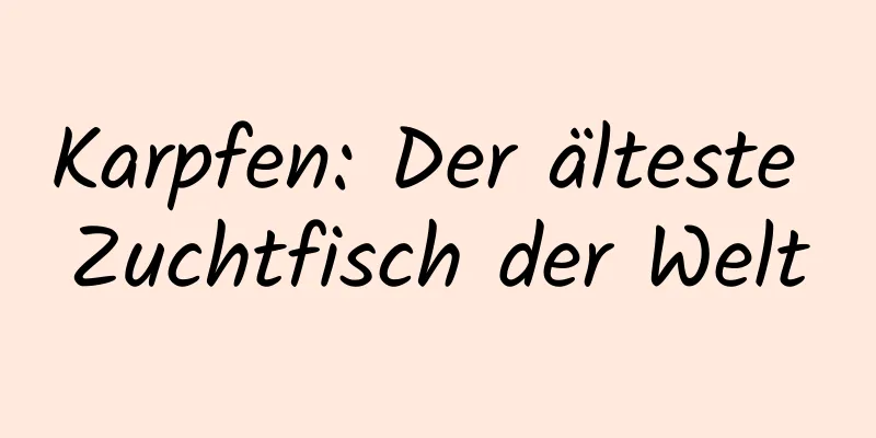 Karpfen: Der älteste Zuchtfisch der Welt