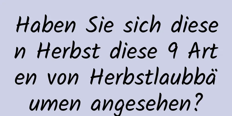 Haben Sie sich diesen Herbst diese 9 Arten von Herbstlaubbäumen angesehen?