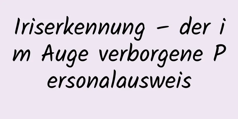Iriserkennung – der im Auge verborgene Personalausweis