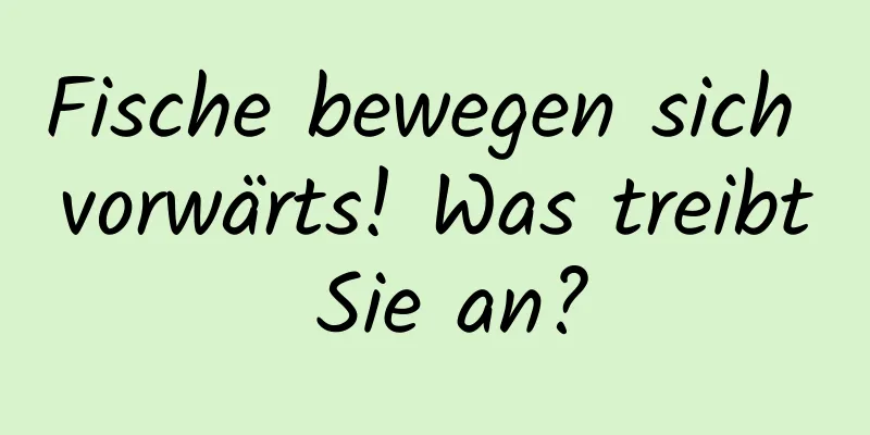 Fische bewegen sich vorwärts! Was treibt Sie an?