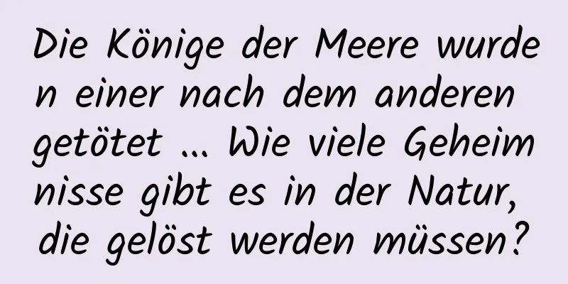 Die Könige der Meere wurden einer nach dem anderen getötet ... Wie viele Geheimnisse gibt es in der Natur, die gelöst werden müssen?