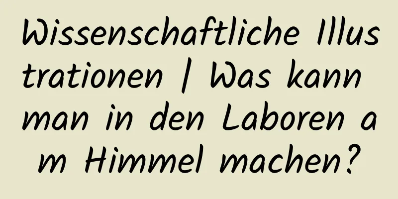 Wissenschaftliche Illustrationen | Was kann man in den Laboren am Himmel machen?