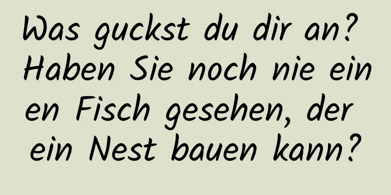 Was guckst du dir an? Haben Sie noch nie einen Fisch gesehen, der ein Nest bauen kann?