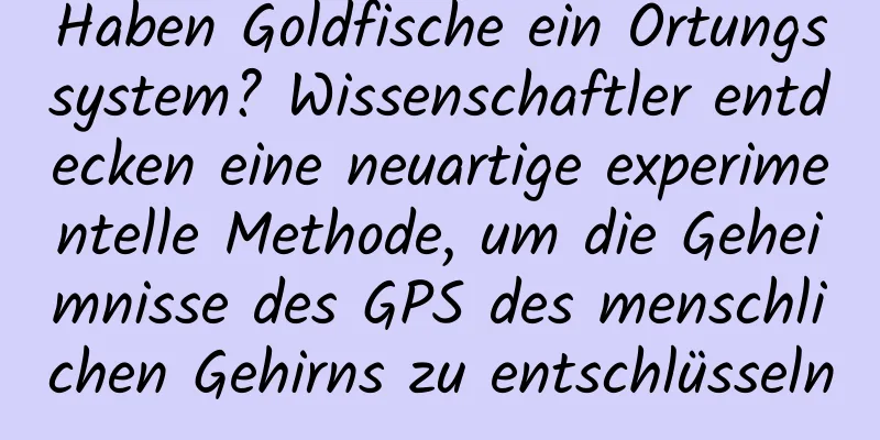 Haben Goldfische ein Ortungssystem? Wissenschaftler entdecken eine neuartige experimentelle Methode, um die Geheimnisse des GPS des menschlichen Gehirns zu entschlüsseln