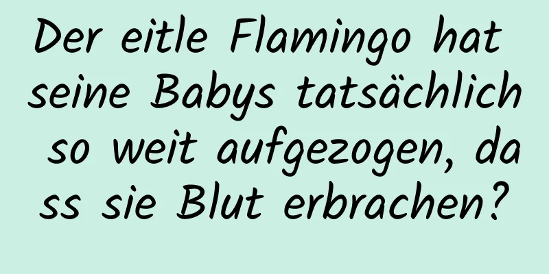 Der eitle Flamingo hat seine Babys tatsächlich so weit aufgezogen, dass sie Blut erbrachen?