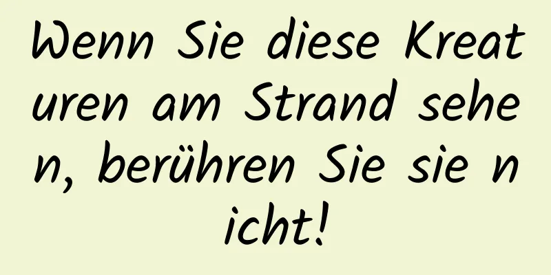 Wenn Sie diese Kreaturen am Strand sehen, berühren Sie sie nicht!