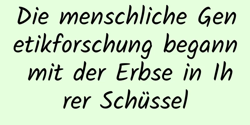 Die menschliche Genetikforschung begann mit der Erbse in Ihrer Schüssel