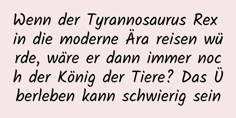 Wenn der Tyrannosaurus Rex in die moderne Ära reisen würde, wäre er dann immer noch der König der Tiere? Das Überleben kann schwierig sein