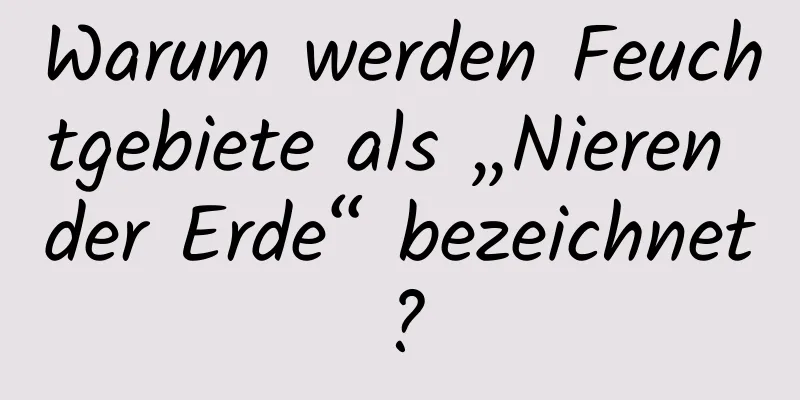 Warum werden Feuchtgebiete als „Nieren der Erde“ bezeichnet?