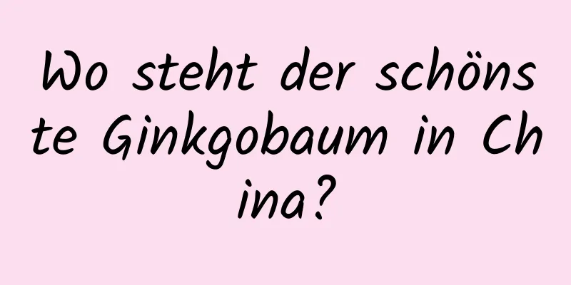 Wo steht der schönste Ginkgobaum in China?