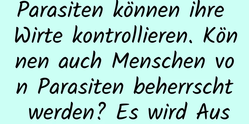 Parasiten können ihre Wirte kontrollieren. Können auch Menschen von Parasiten beherrscht werden? Es wird Auswirkungen geben