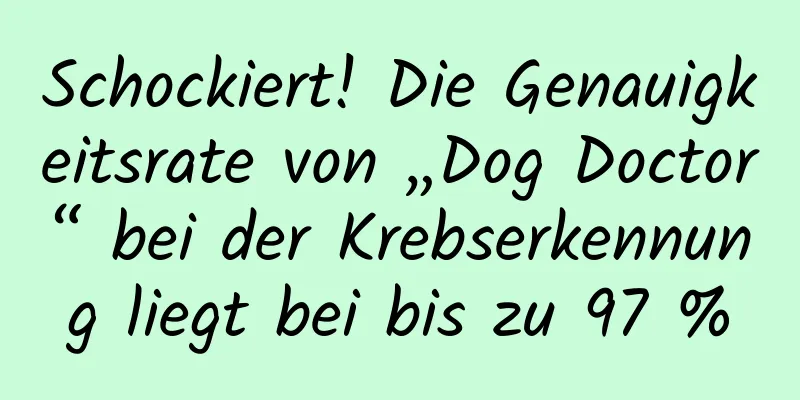 Schockiert! Die Genauigkeitsrate von „Dog Doctor“ bei der Krebserkennung liegt bei bis zu 97 %