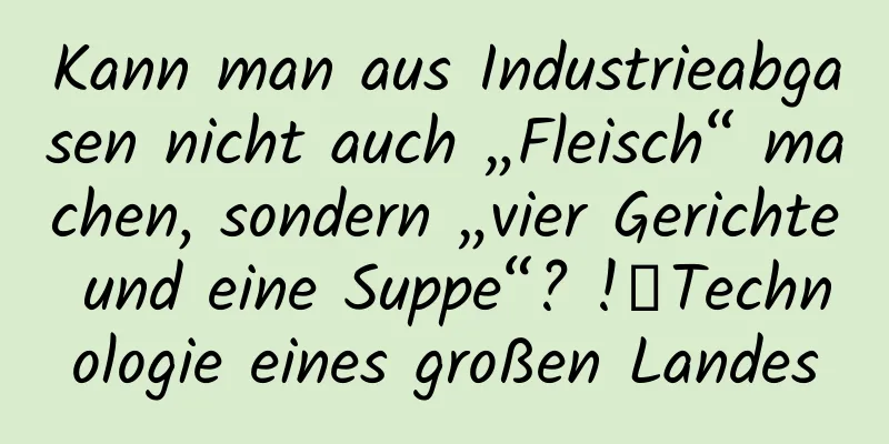 Kann man aus Industrieabgasen nicht auch „Fleisch“ machen, sondern „vier Gerichte und eine Suppe“? !丨Technologie eines großen Landes