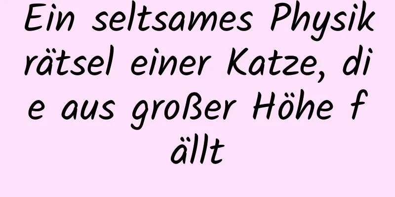 Ein seltsames Physikrätsel einer Katze, die aus großer Höhe fällt