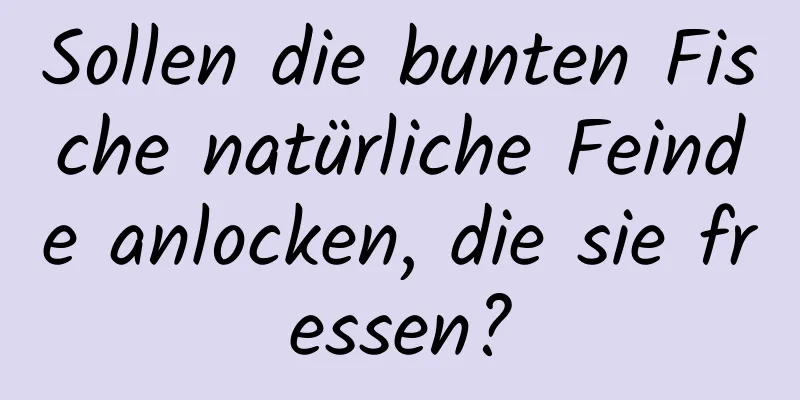 Sollen die bunten Fische natürliche Feinde anlocken, die sie fressen?