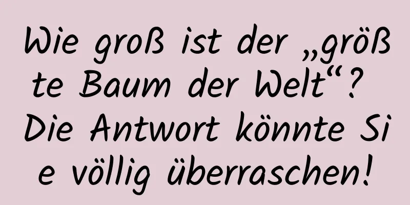 Wie groß ist der „größte Baum der Welt“? Die Antwort könnte Sie völlig überraschen!