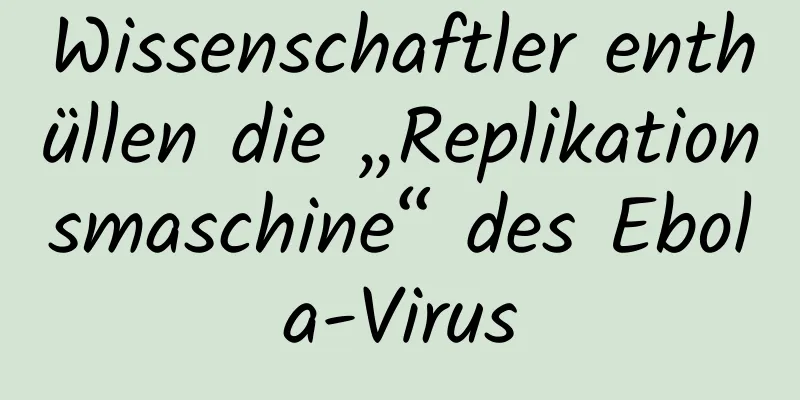 Wissenschaftler enthüllen die „Replikationsmaschine“ des Ebola-Virus