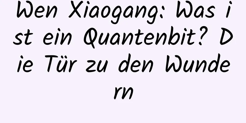 Wen Xiaogang: Was ist ein Quantenbit? Die Tür zu den Wundern