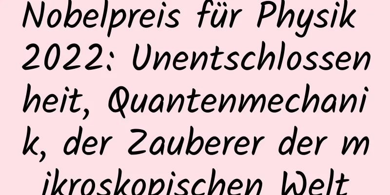 Nobelpreis für Physik 2022: Unentschlossenheit, Quantenmechanik, der Zauberer der mikroskopischen Welt