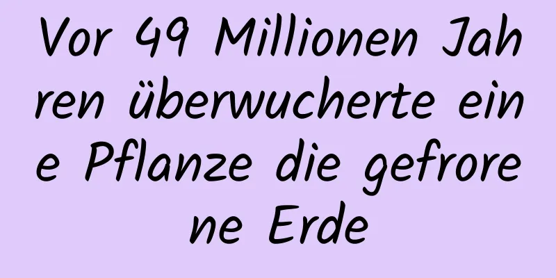 Vor 49 Millionen Jahren überwucherte eine Pflanze die gefrorene Erde