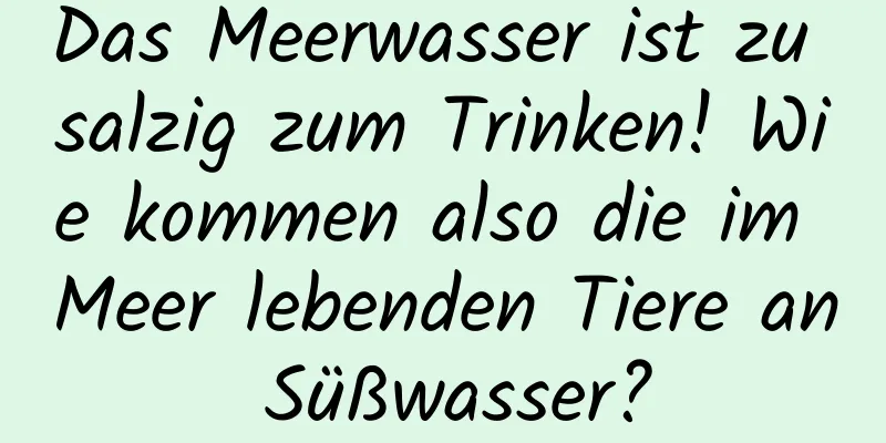 Das Meerwasser ist zu salzig zum Trinken! Wie kommen also die im Meer lebenden Tiere an Süßwasser?
