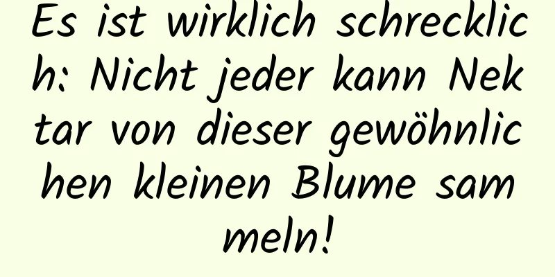 Es ist wirklich schrecklich: Nicht jeder kann Nektar von dieser gewöhnlichen kleinen Blume sammeln!