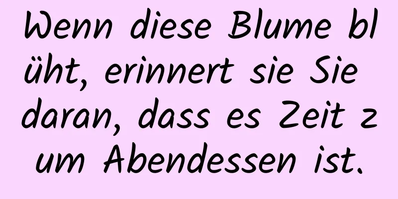 Wenn diese Blume blüht, erinnert sie Sie daran, dass es Zeit zum Abendessen ist.