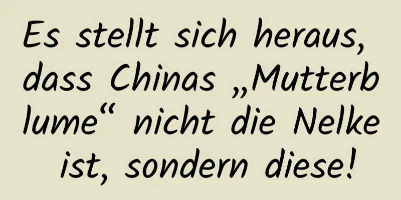 Es stellt sich heraus, dass Chinas „Mutterblume“ nicht die Nelke ist, sondern diese!