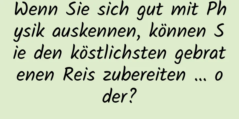 Wenn Sie sich gut mit Physik auskennen, können Sie den köstlichsten gebratenen Reis zubereiten … oder?