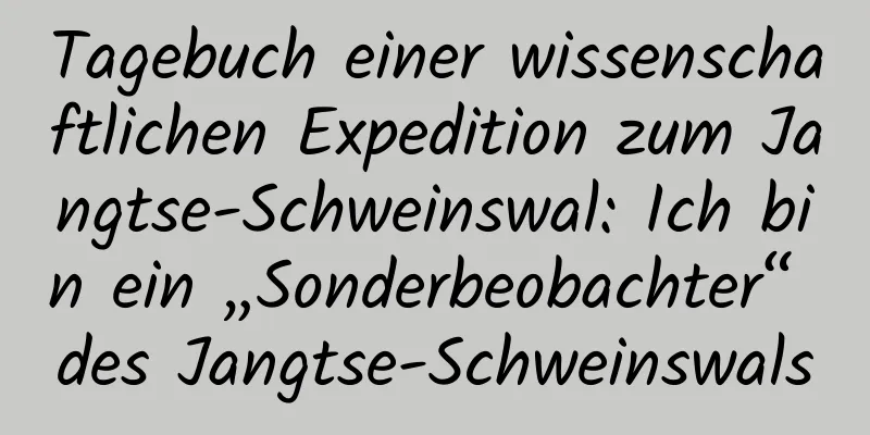 Tagebuch einer wissenschaftlichen Expedition zum Jangtse-Schweinswal: Ich bin ein „Sonderbeobachter“ des Jangtse-Schweinswals