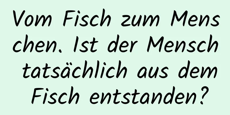 Vom Fisch zum Menschen. Ist der Mensch tatsächlich aus dem Fisch entstanden?