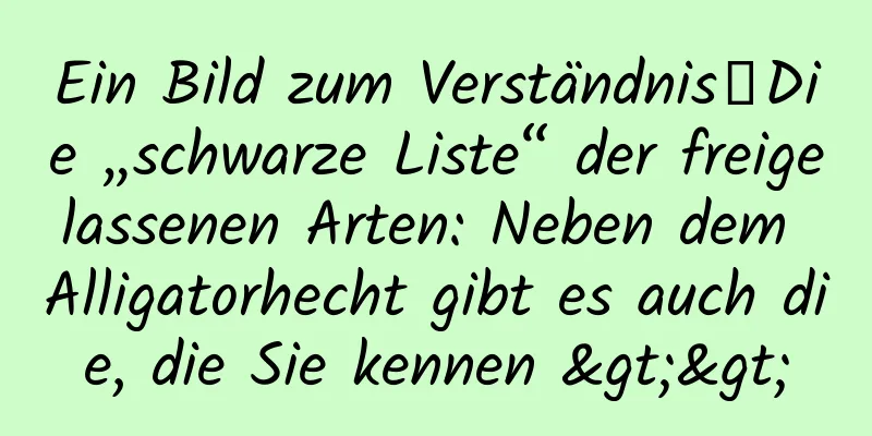 Ein Bild zum Verständnis丨Die „schwarze Liste“ der freigelassenen Arten: Neben dem Alligatorhecht gibt es auch die, die Sie kennen >>
